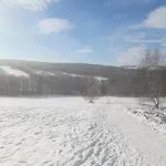 Fox House / Rájec *